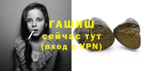 хмурый Ельня