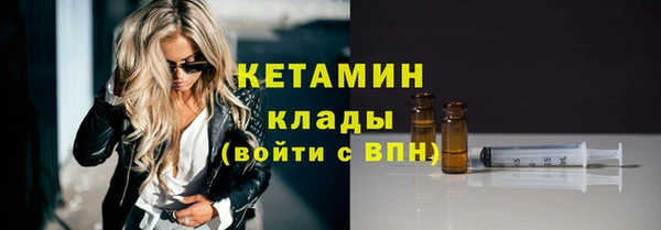 хмурый Ельня