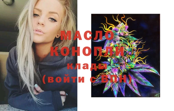 хмурый Ельня