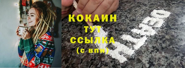 хмурый Ельня