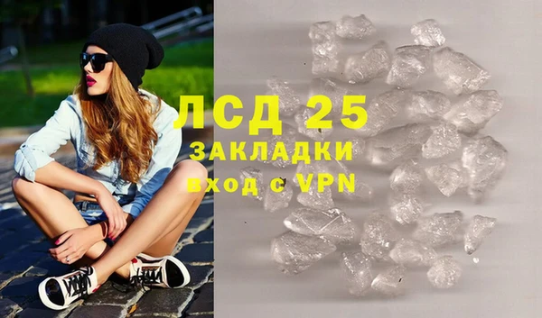хмурый Ельня