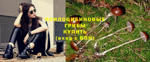 прущая мука Рославль