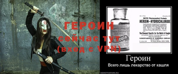 хмурый Ельня
