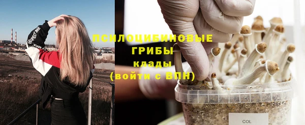 марки lsd Ростов